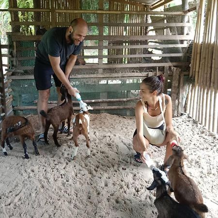 Yaoisland Resort And Farm Яо-Яй Экстерьер фото