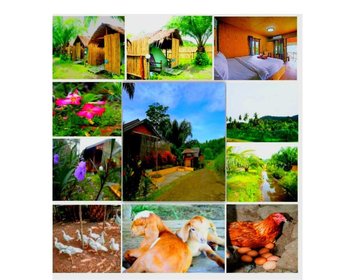 Yaoisland Resort And Farm Яо-Яй Экстерьер фото