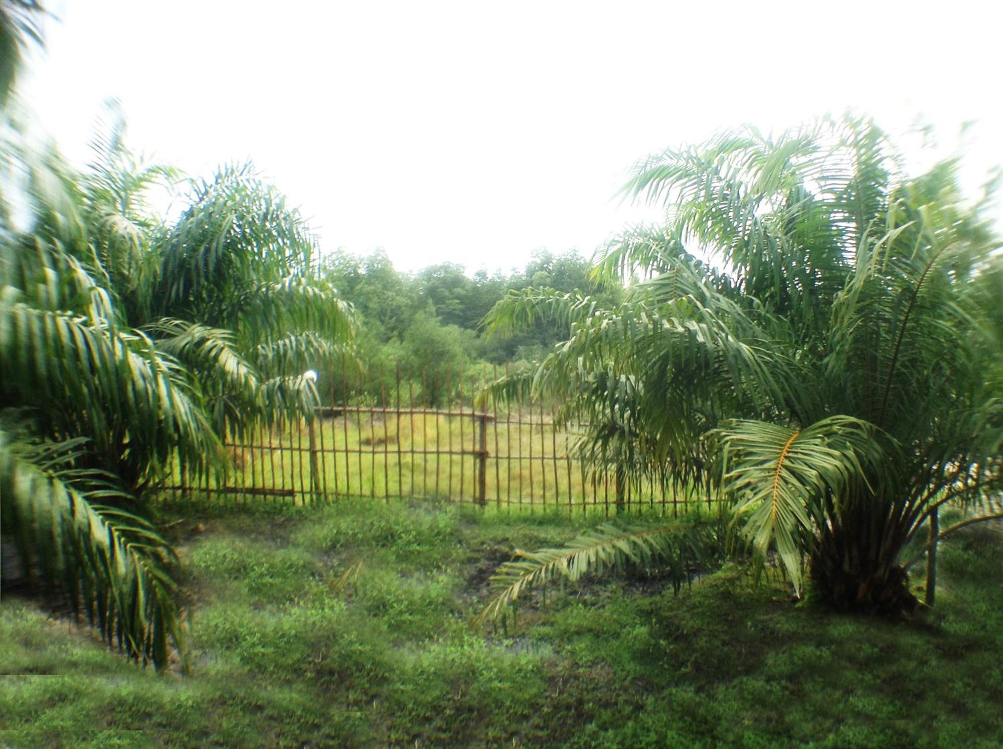 Yaoisland Resort And Farm Яо-Яй Экстерьер фото